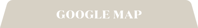 Google Map Button